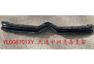 天逸中網亮條支架